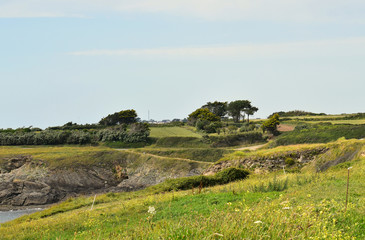 Obraz premium Le long du littoral breton la lande jaunit par les ajoncs en fleur en Bretagne dans le Finistère