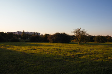 Sunset in Kolomenskoe park. Photo with beautiful calm light