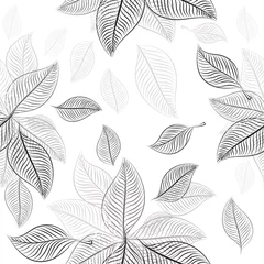 Behang Bladnerven Abstractie van skelet monochrome bladeren. Naadloze achtergrond. vector illustratie
