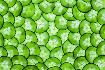 Textured background of multiple translucent overlapping backlit fresh green cucumber slices 
