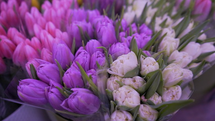 Beautiful colorful tulips in a flower shop macro shot close up. Floral theme