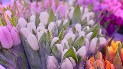 Beautiful colorful tulips in a flower shop macro shot close up. Floral theme