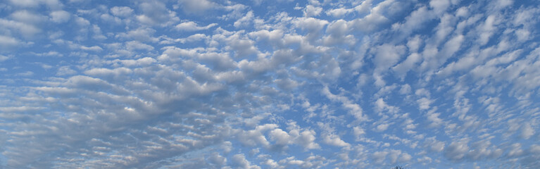 Blue sky with lots small clouds. panorama picture.