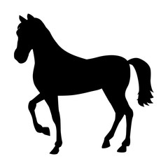 Black Silhouette Of Horse Isolated on the White Background. Web Template Design. Flat Style. Vector Illustration