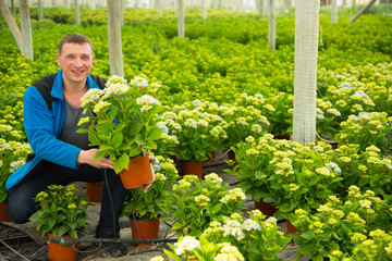 Man examining garden flowers