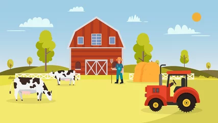 Poster Farm with cows ,tractor, barn , farmer and hays.Landscape with farm vector illustration.Nature farm in summer © vvadyab