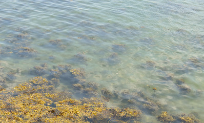 La Bretagne ses eaux aux couleurs turquoise ses côtes déchiquetées, ses falaises, ses rochers, ses paysages à couper le souffle, 