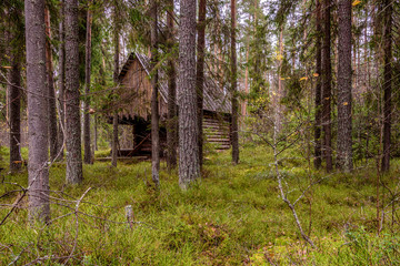 Old abandoned hut in the forest	
