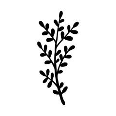 Hand drawn plants and tree branches with leaves. Vector floral silhouettes. Graphic design elements. Black and white botanical illustration.