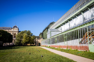 Fototapeta na wymiar Greenhouse in Jardin Des Plantes botanical garden, Paris, France