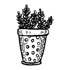 Hand drawn plants and tree branches with leaves. Vector floral silhouettes. Graphic design elements. Black and white botanical illustration.