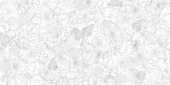 シンプルライン、線画　美しい線画のボタニカル背景素材　　Simple Line , Line Art 　Botanical , Flower , Black , Texture , Simple , Beautiful  