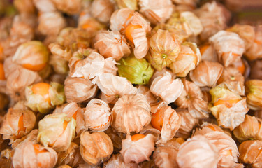 Pile of Cape gooseberry fruit for sale in the market - fresh Cape gooseberry background