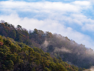 雲海