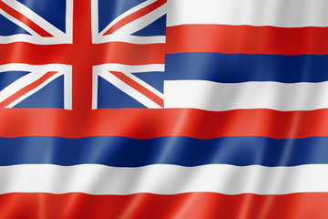 Hawaii flag, USA