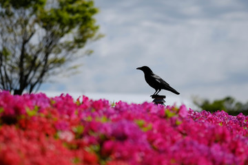 休息