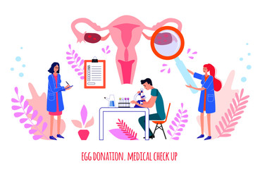Egg donation. Medical check up. Doctors make check up of woman reproductive system in hospital. Vector illustration.