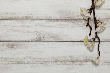 春の花と白板の背景