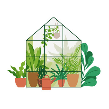 Vector illustration in flat simple style - greenhouse with plants, stylish urban jungle poster or print for home gardening