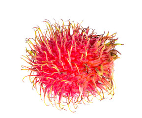 Fototapeta premium rambutan sweet delicious fruit an isolated on white background