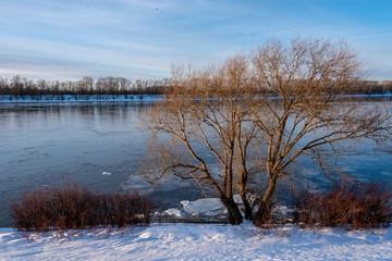 Fototapeta na wymiar Landscape with willow by the river in spring during ice drift at sunset