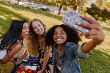 Portrait of smiling young african american woman taking selfie with her female friends at picnic in the park