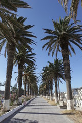 Fototapeta na wymiar Bizerte, Tunisia 