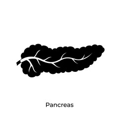 Vector isolated illustration of pancreas