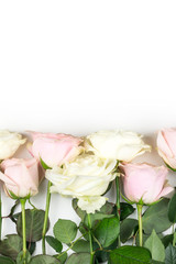 bottom line of white and pink roses top view with place for text on a white background