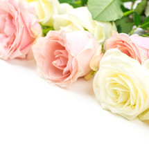 pink and white roses lie on the surface at the top with place for text on a white background