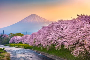 Fototapete Fuji Mt. Fuji, Japan from Shizuoka Prefecture in Spring