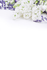 white lilac, violet lisianthus and dried flower lie on the surface at the top with place for text on a white background
