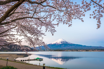 Mt. Fuji, Japan on Lake Kawaguchi in Spring