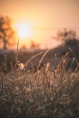 Scenic View Of Grass Field Against Sky During Sunset