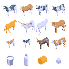 Cow icons set. Isometric set of cow vector icons for web design isolated on white background
