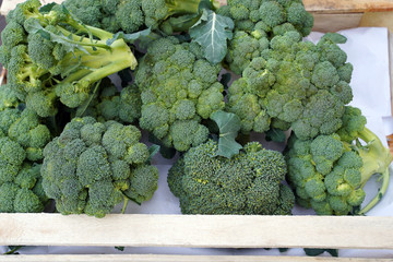 fresh broccoli in the market