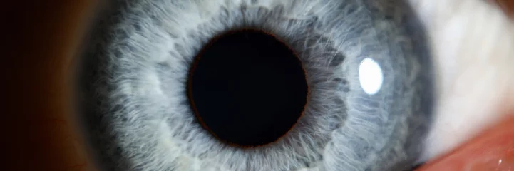 Fotobehang Blue eye mannelijke menselijke super macro close-up. Testconcept gezond zicht © H_Ko