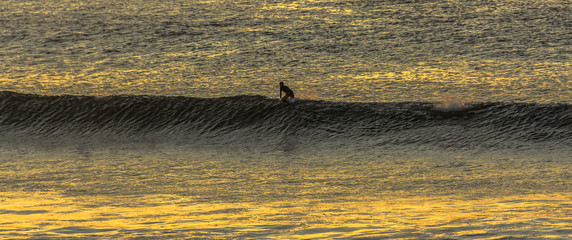 surfista en ola con mar en atardecer de la naturaleza