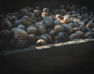 Natural looking old wallnuts on display in the wooden box after season. Roten harvest. Background image.