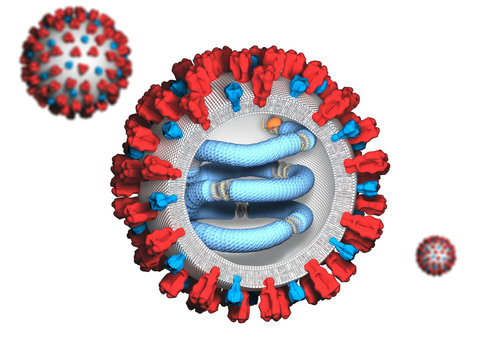Measles- Morbilli Virus
