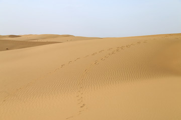 Fototapeta na wymiar Sandy dunes in Kubuqi Desert, Inner Mongolia, China