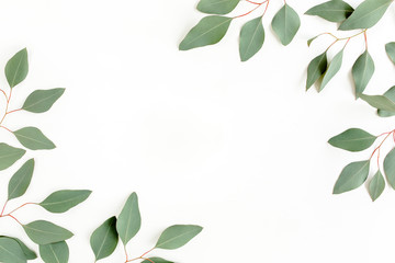 Leaves eucalyptus frame borders on white background with empty space for text. Flat lay, top view....