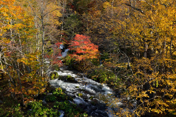 Akan river in autumn.