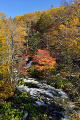 Fototapeta na wymiar Akan river in autumn.