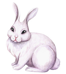 Fototapeta na wymiar Cute white rabbit. Watercolor illustration, isolated on white background. Hand painted