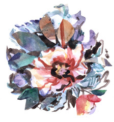 Arrangement of flowers and leaves. Drawn by hand in watercolor. On white background.