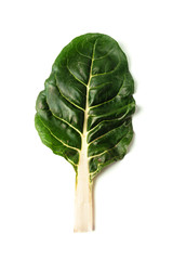 green chard leaf isolated on white background