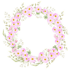 Floral round wreath of pink chamomile flowers and field herbs. Hand drawn watercolor illustration.