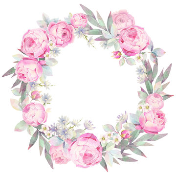 Floral round wreath of pink roses and green branches. Hand drawn watercolor illustration.