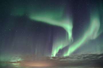 Aurora Borealis Northern lights over Icelandic sky